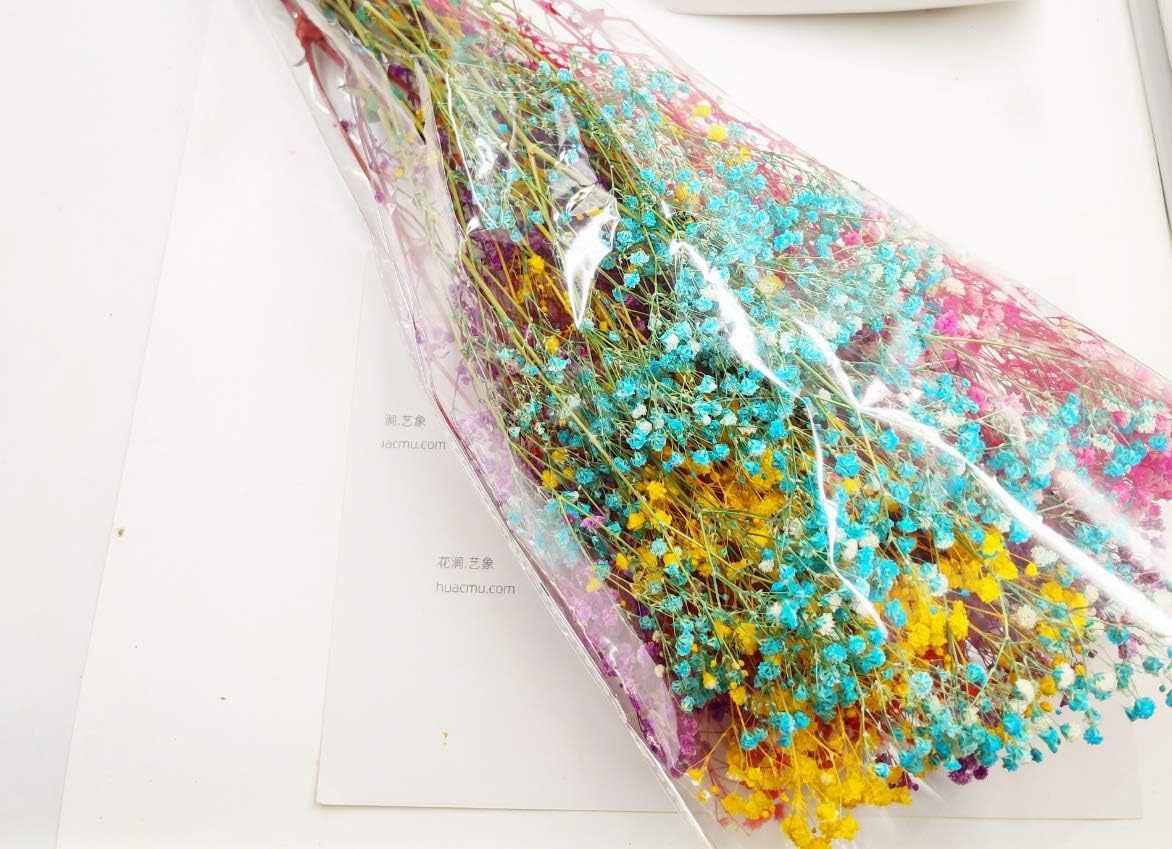 Amazon | かすみ草 ドライフラワー プリザーブドフラワー